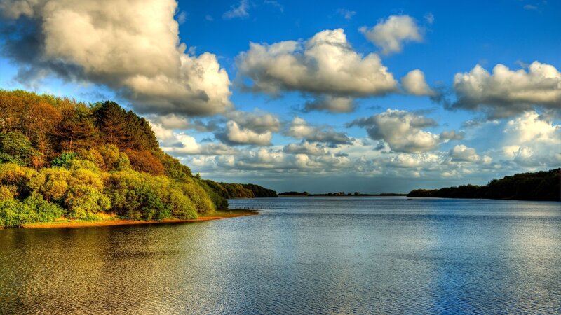 Lake with cloudy sky and trees