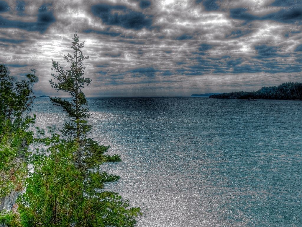 Lake with cloudy sky and trees