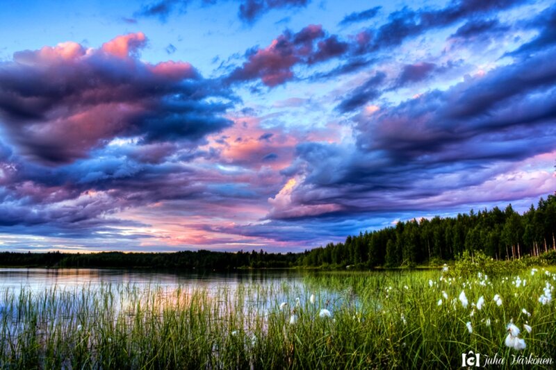 Lake with Cotton Grass