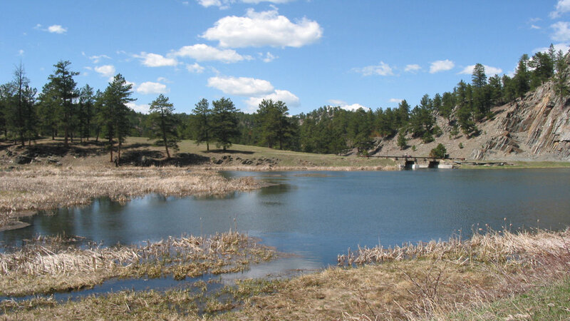Lake with dam and forest