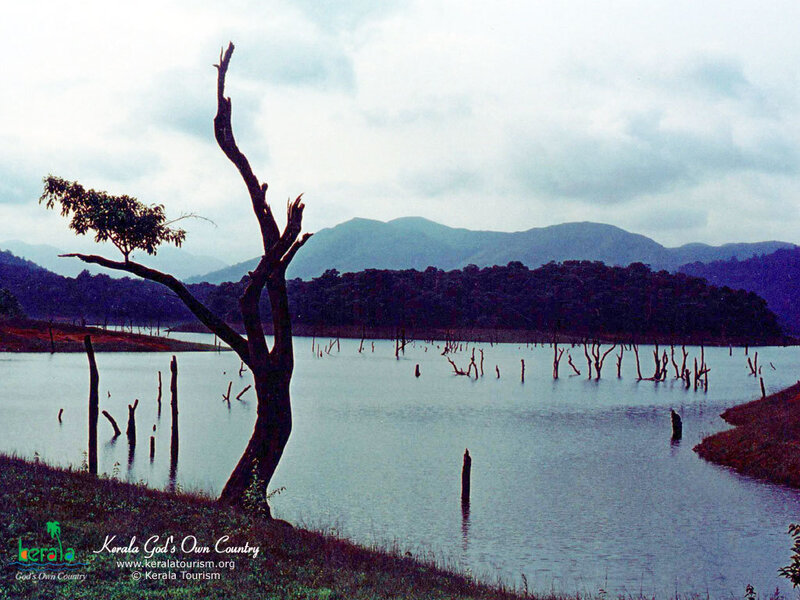Lake with dead trees and mountains