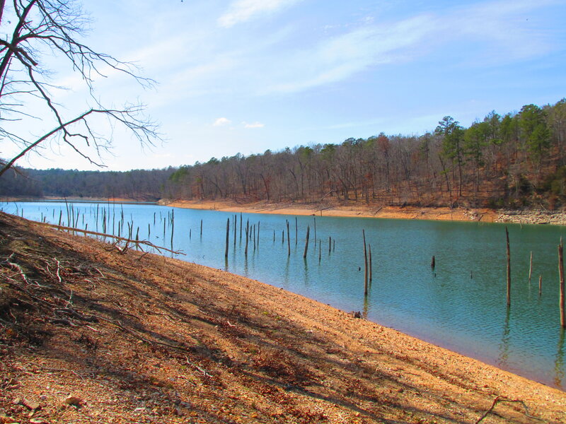 Lake with Dead Trees — Blue