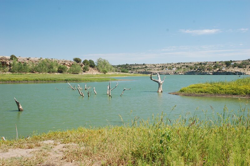 Lake with dead trees