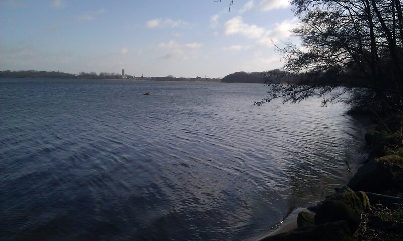 Lake with Distant City