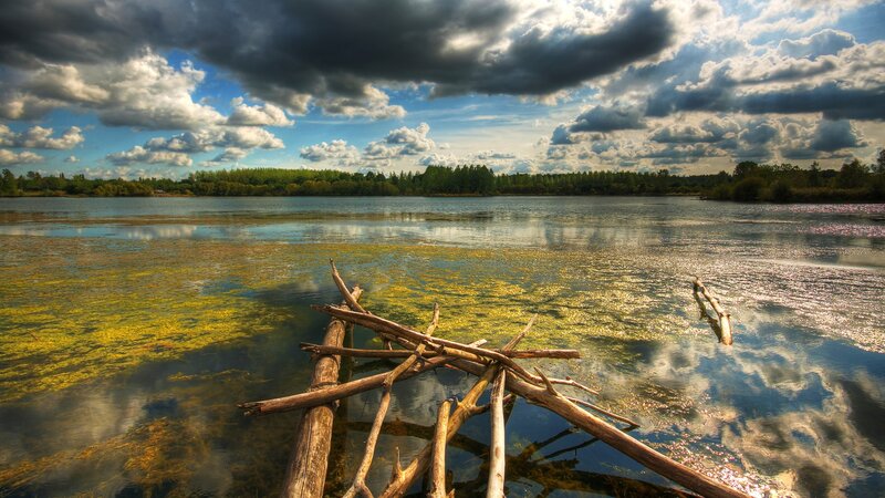 Lake with driftwood and cloudy sky