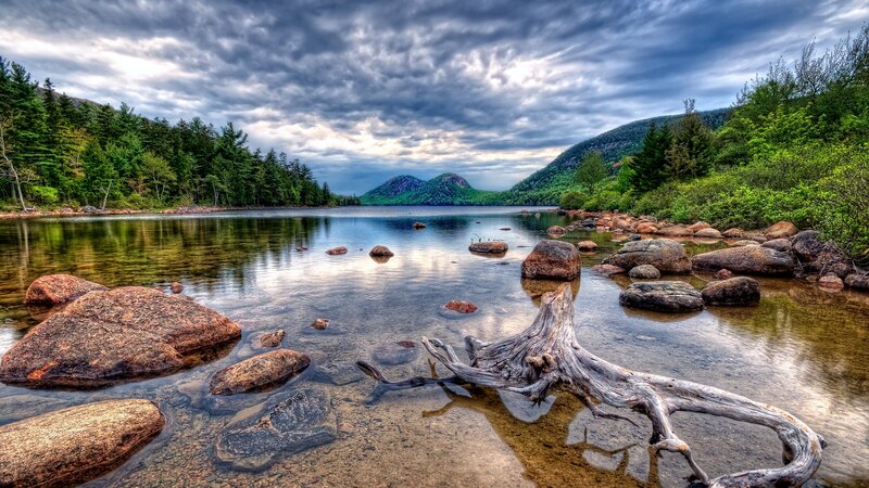Lake with Driftwood and Mountains