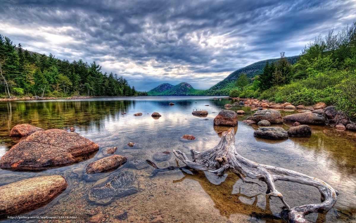 Lake with Driftwood and Mountains