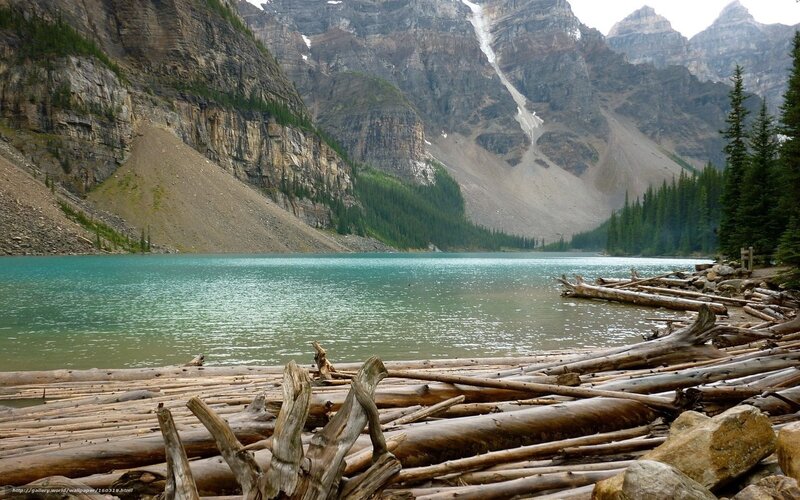 Lake with Driftwood — Blue, Serene