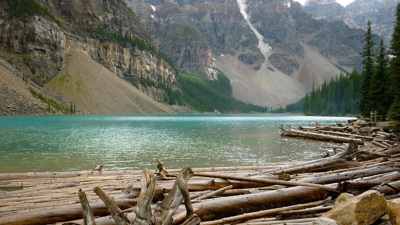 Lake with Driftwood — Blue
