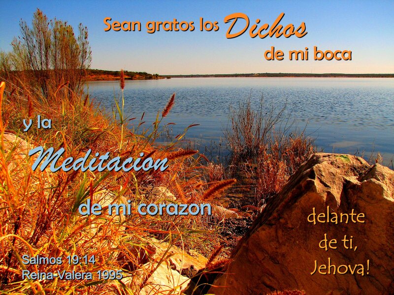 Lake with Dry Grass — Blue