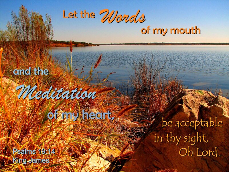 Lake with Dry Grass