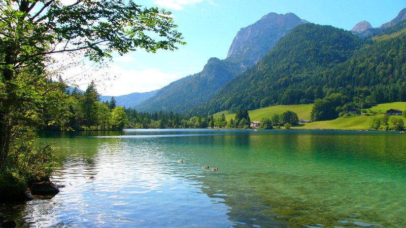 Lake with Ducks and Mountains