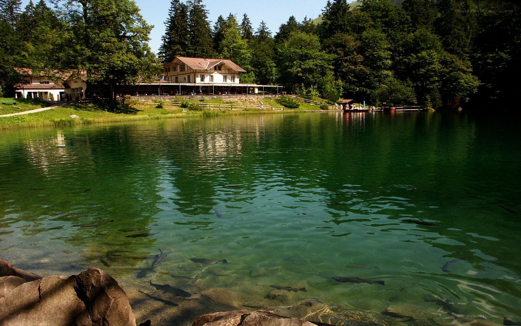 Lake with fish and lodge
