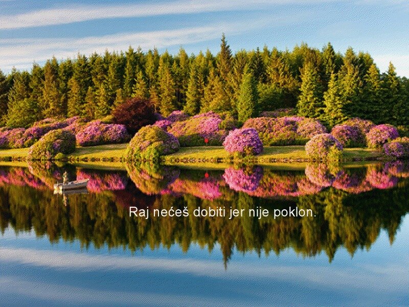 Lake with Flowering Bushes