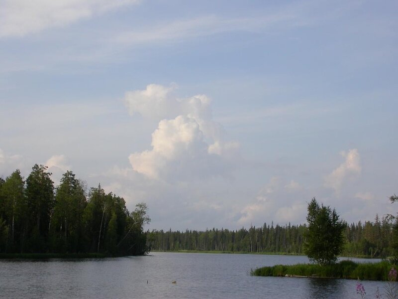 Lake with forest and cloud