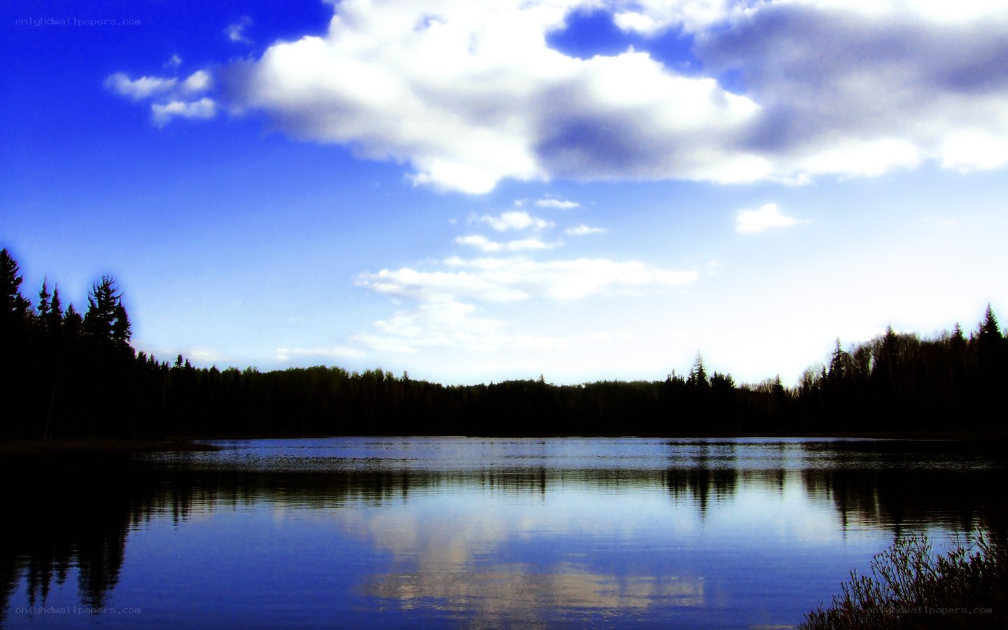 Lake with forest and clouds
