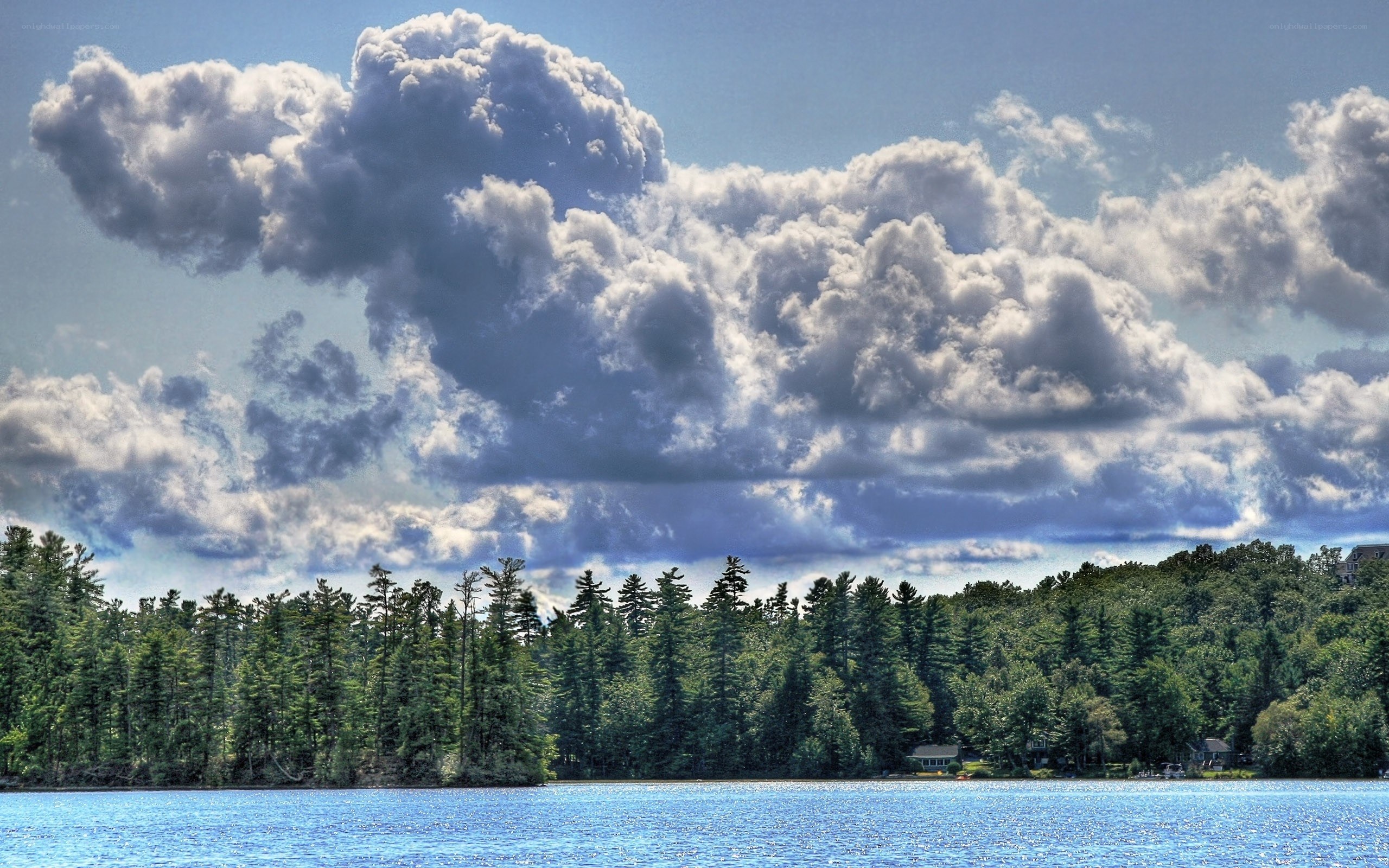 Lake with forest and clouds