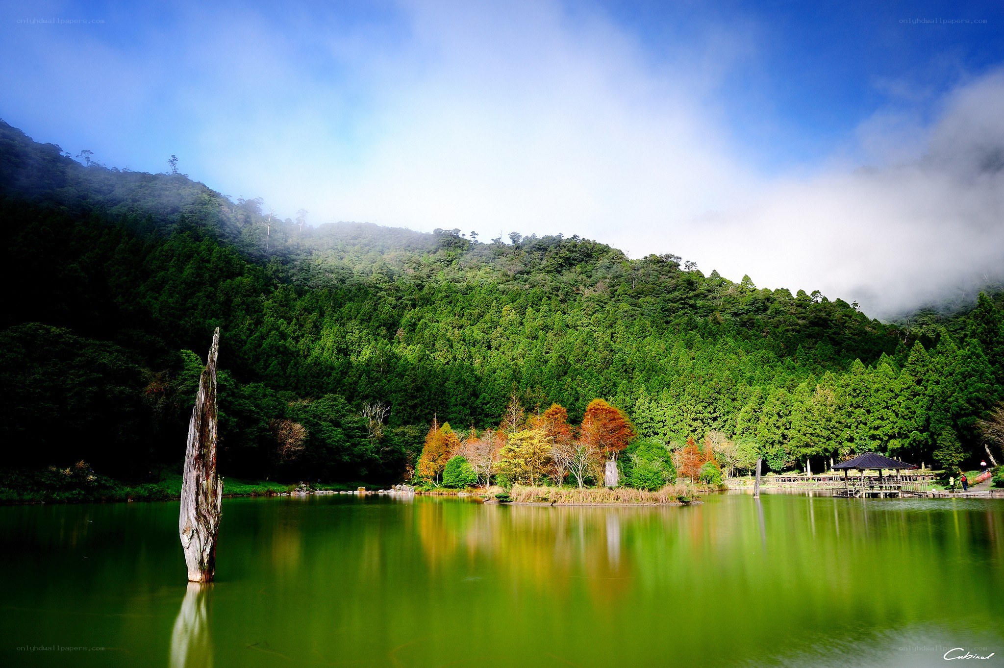 Lake with forest and fog