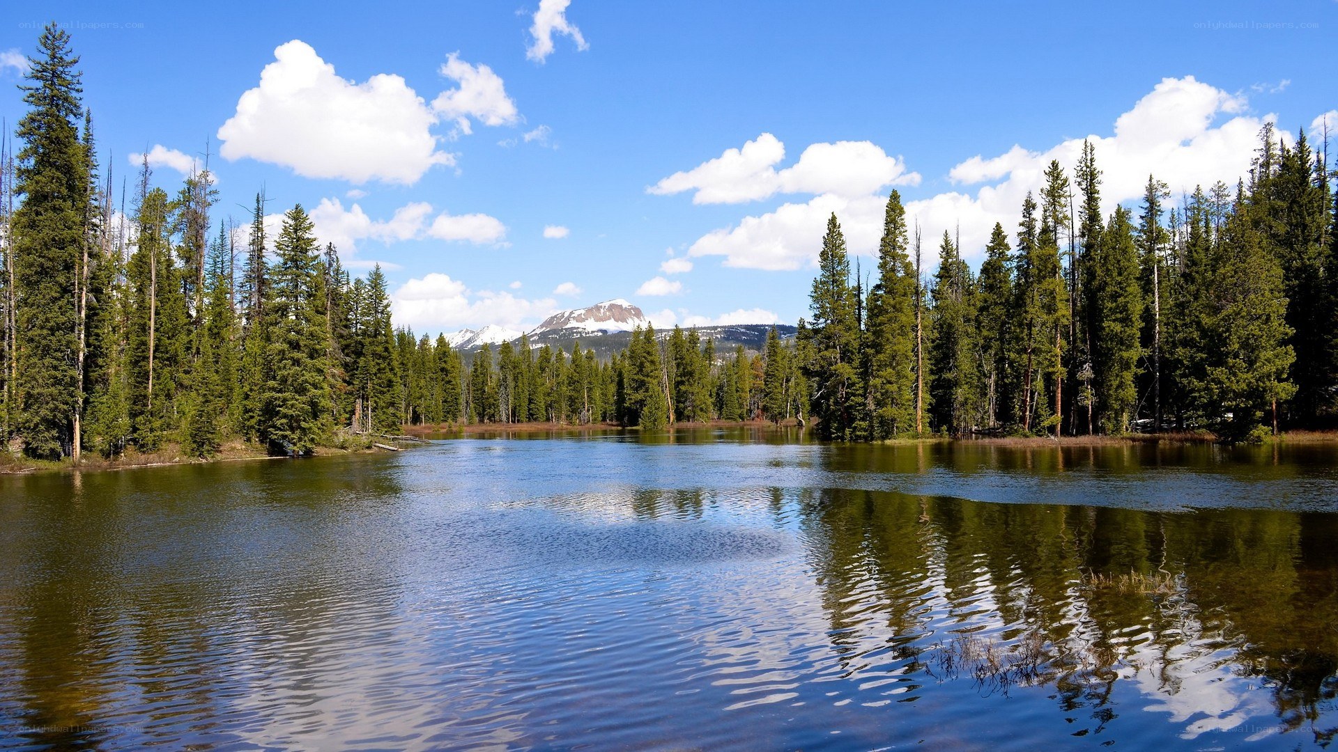 Lake with forest and mountain