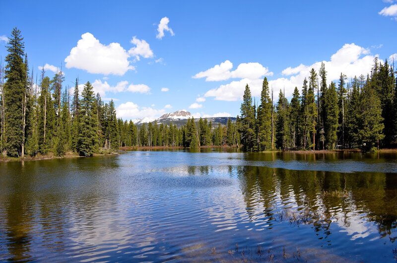 Lake with forest and mountain view