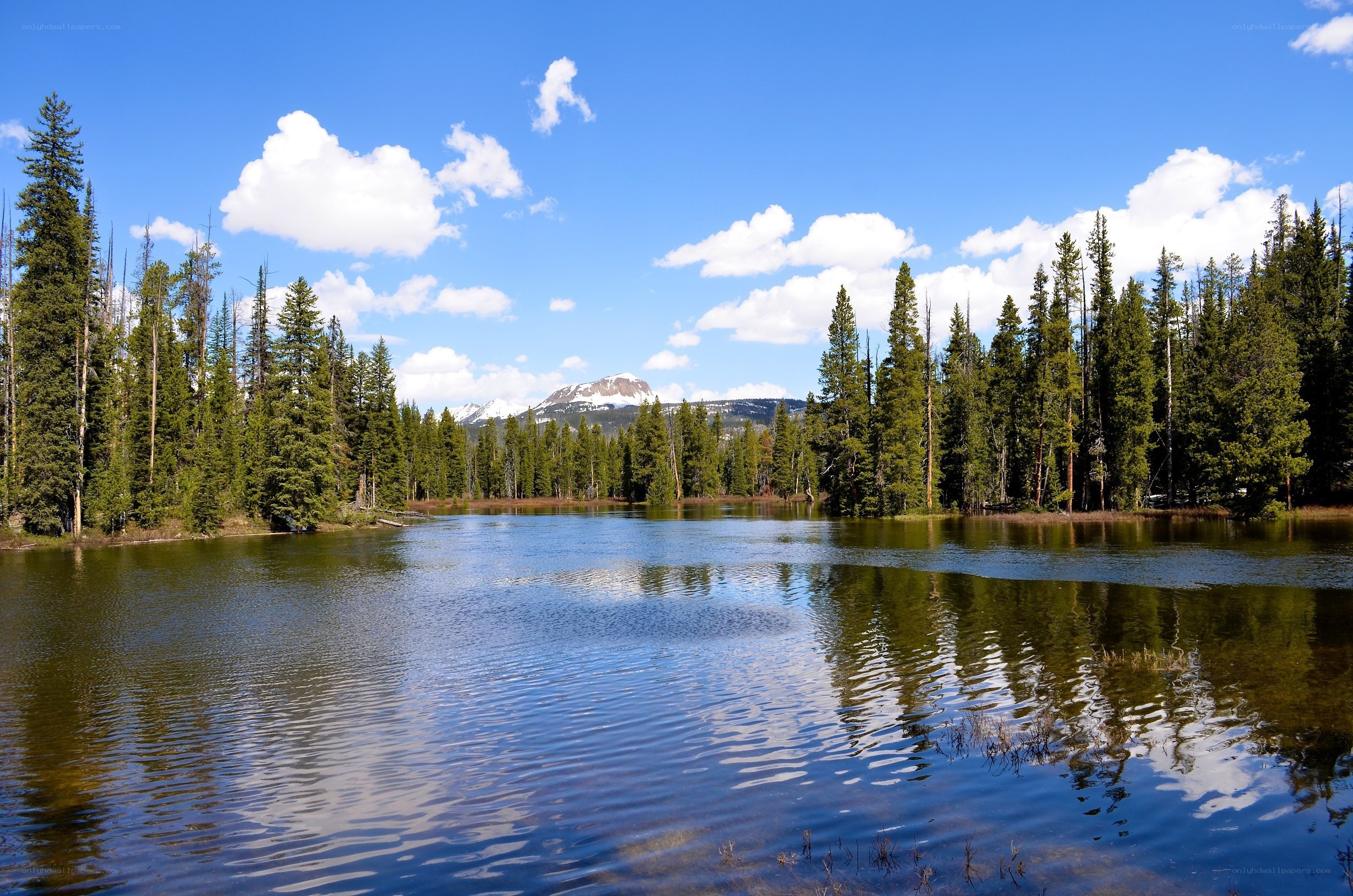 Lake with forest and mountain view