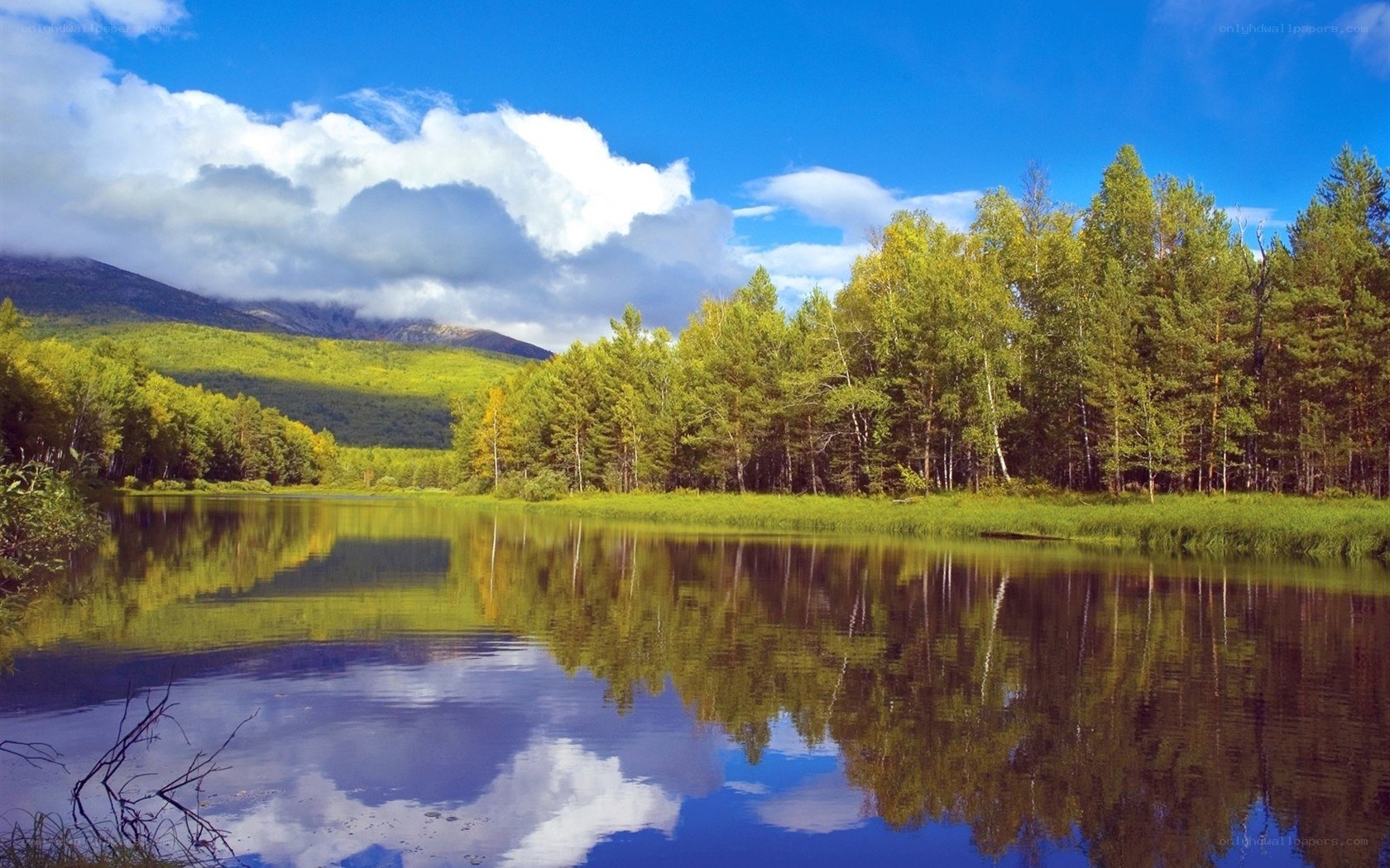 Lake with forest and mountain