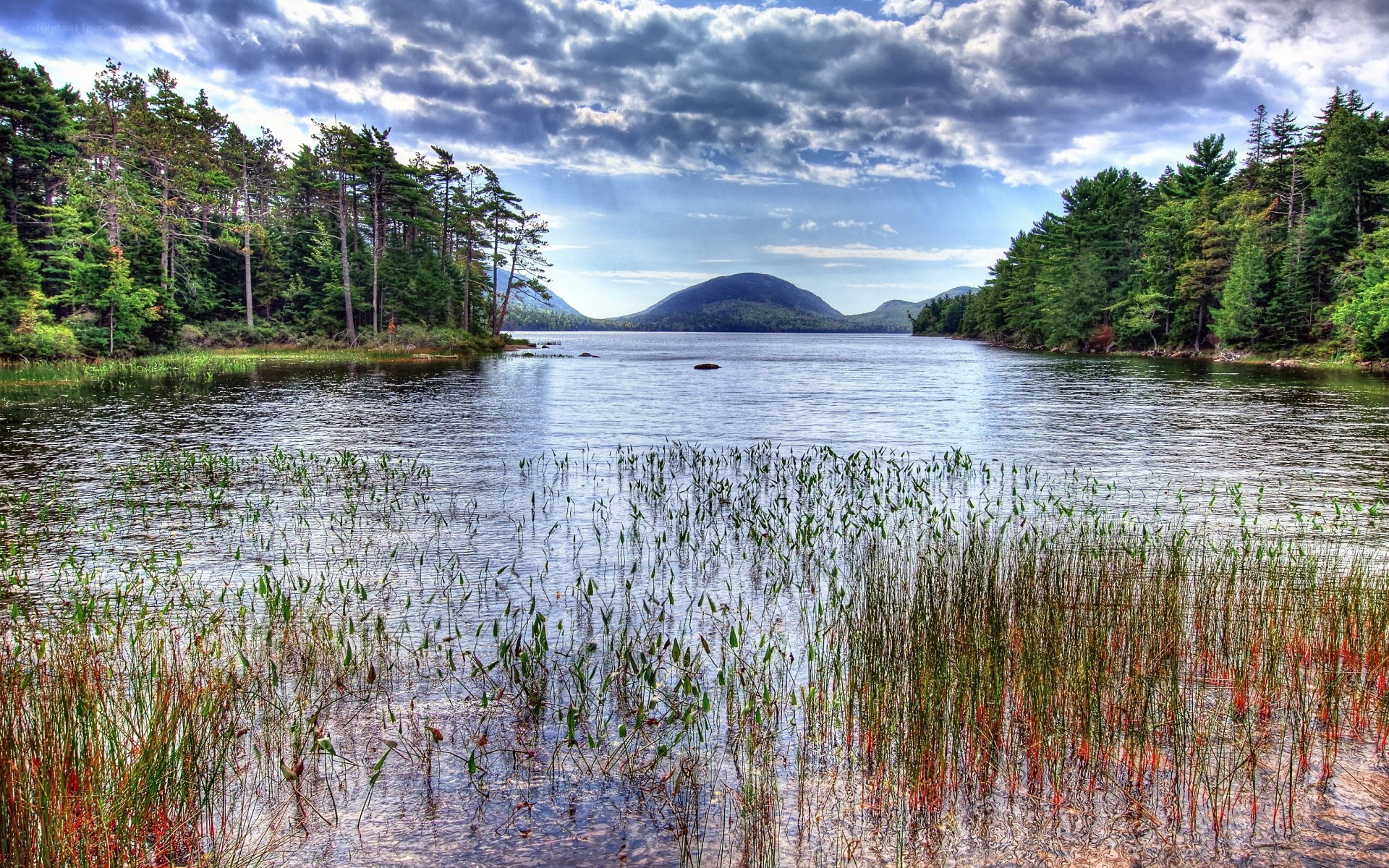 Lake with forest and mountains