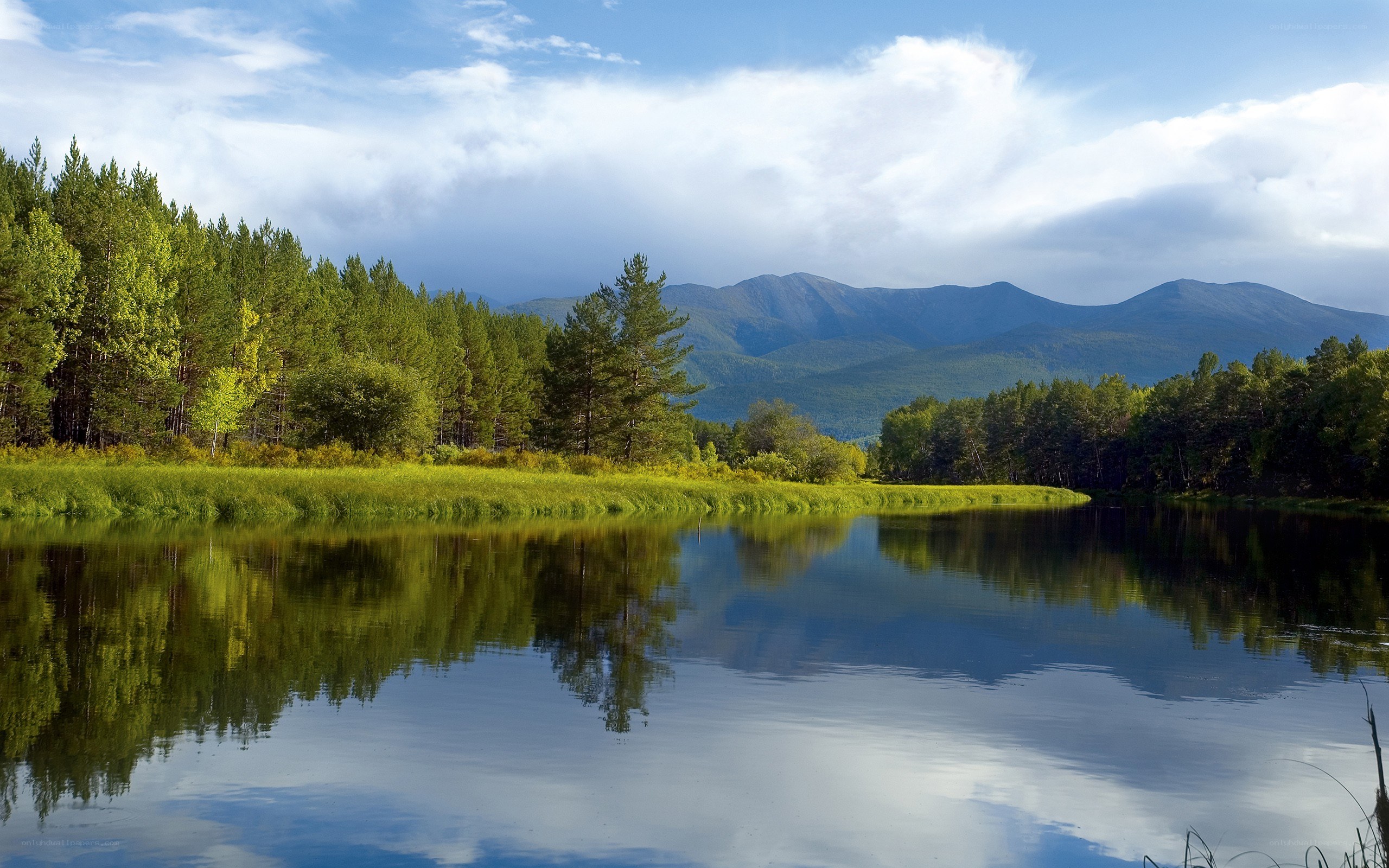 Lake with forest and mountains