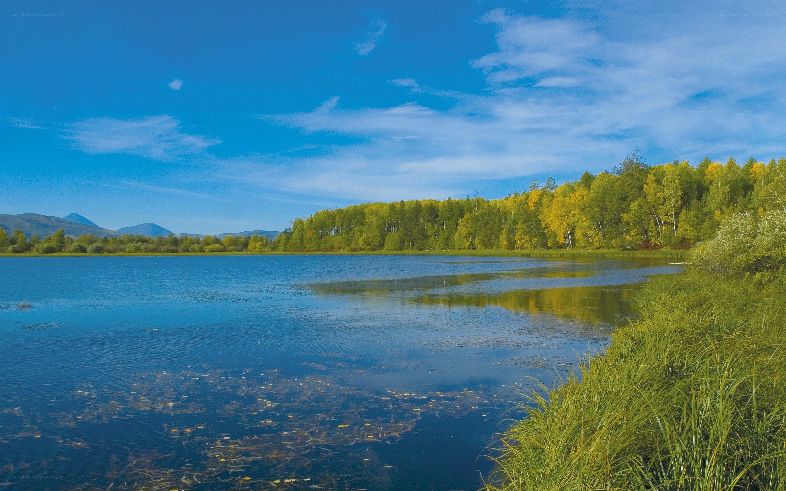 Lake with forest and mountains