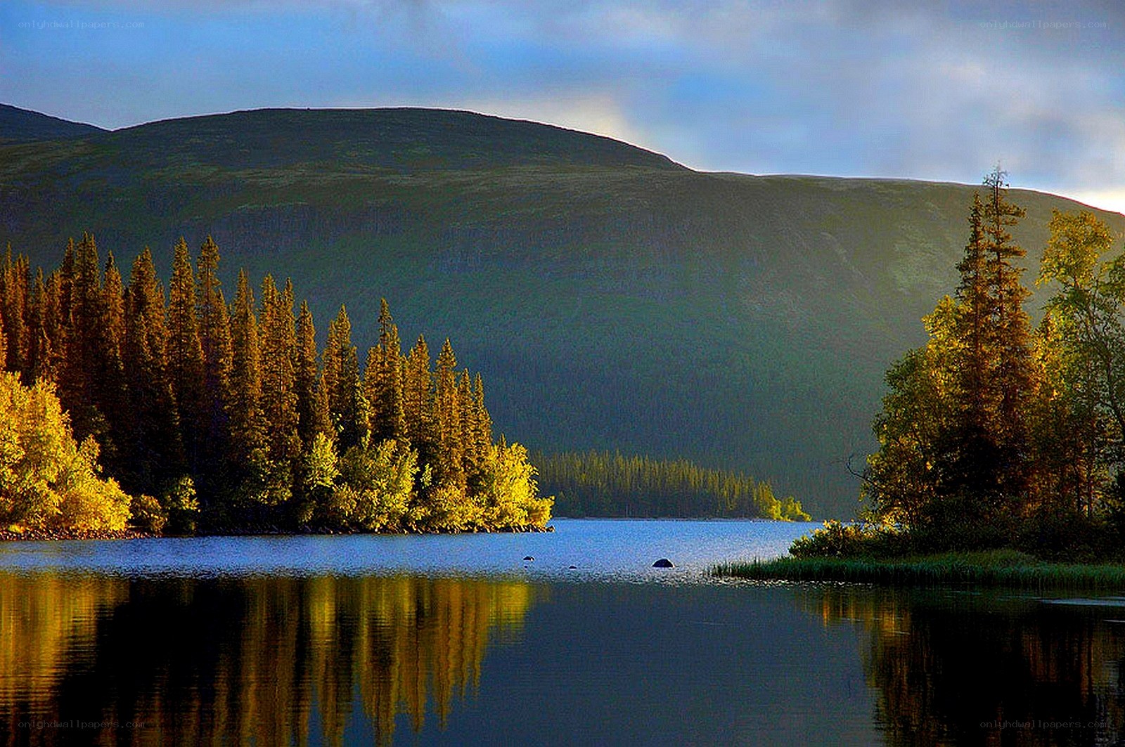 Lake with forest and mountains