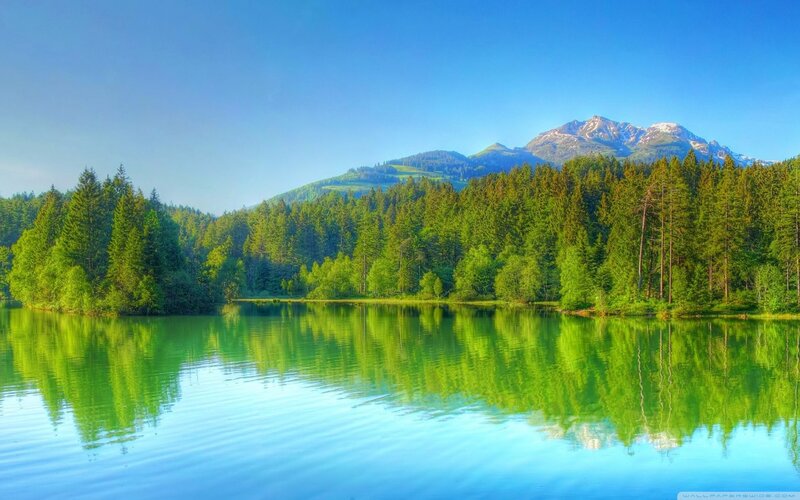 Lake with Forest and Mountains — Green