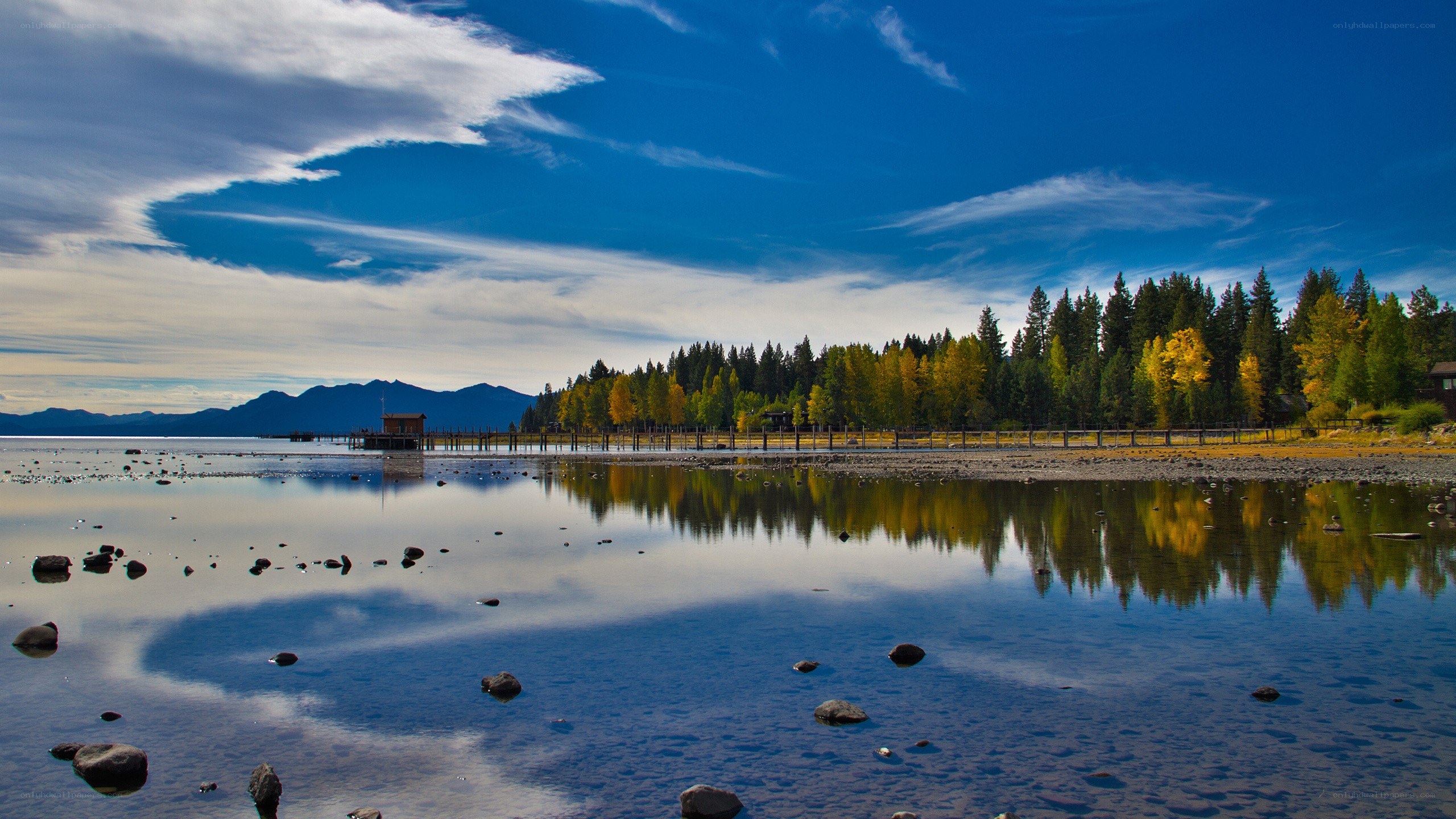 Lake with forest and mountains