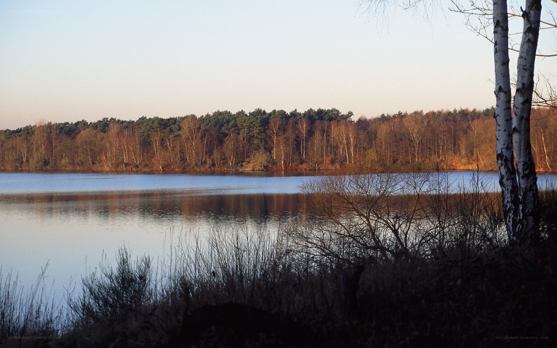 Lake with forest at dusk