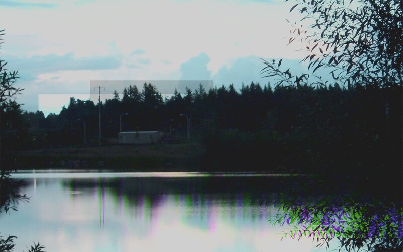 Lake with Forest Background