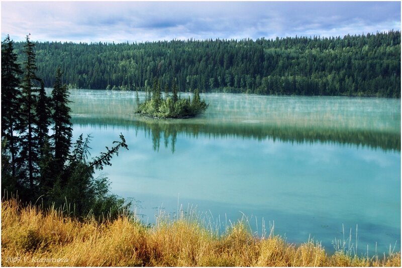 Lake with Forest Island