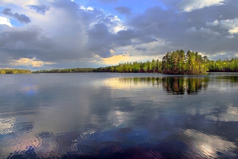 Lake with forest reflection