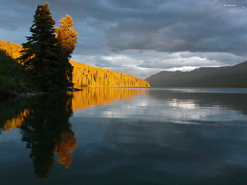 Lake with forest reflection