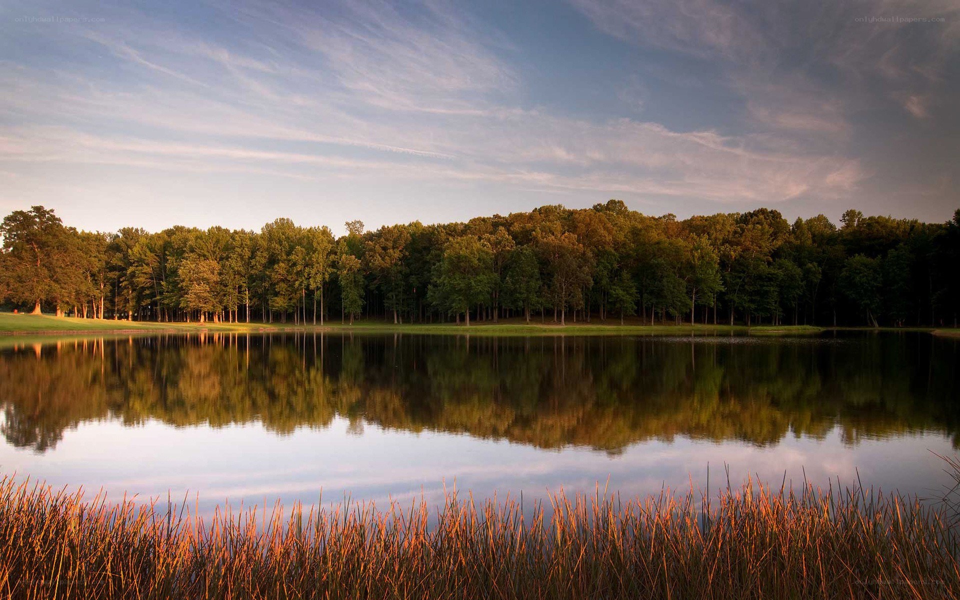 Lake with forest reflection