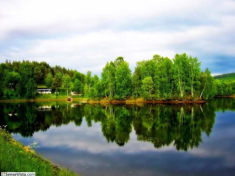 Lake with forest reflection