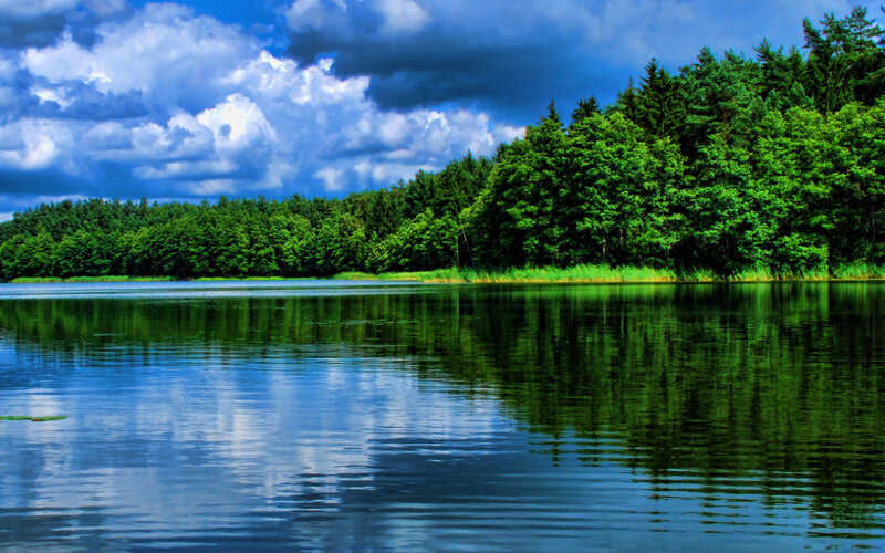 Lake with Forest Reflection — Blue, Dramatic, Afternoon, Photograph