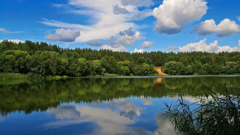 Lake with Forest Reflection — Blue, Serene, Afternoon, Photograph, Clouds, Reeds, Green