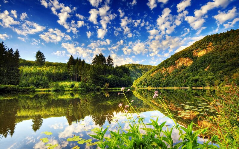 Lake with Forest Reflection — Blue, Serene, Afternoon, Photograph, Trees, Clouds