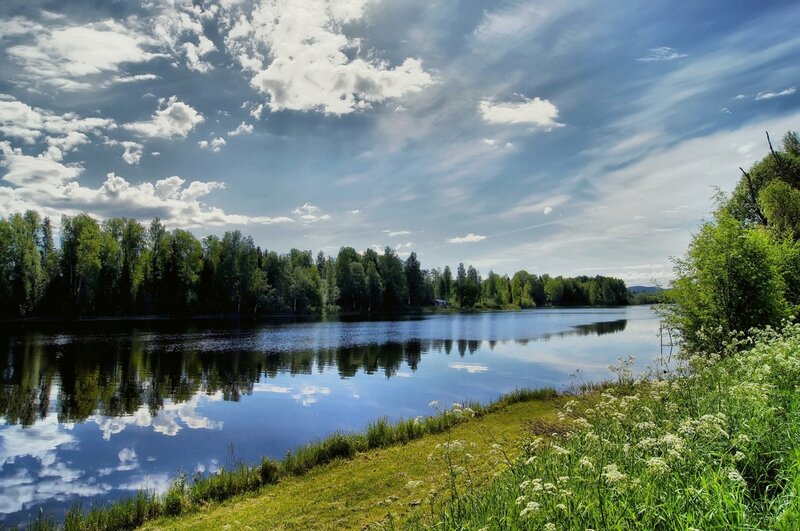 Lake with Forest Reflection — Blue, Serene, Afternoon, Photograph, Trees