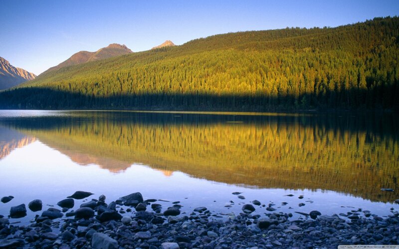 Lake with Forest Reflection — Blue, Serene, Morning, Photograph
