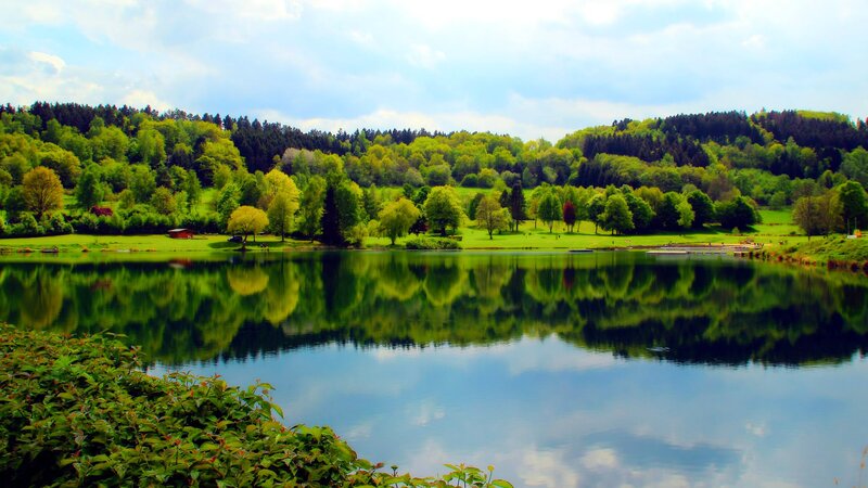 Lake with Forest Reflection — Green, Serene, Afternoon