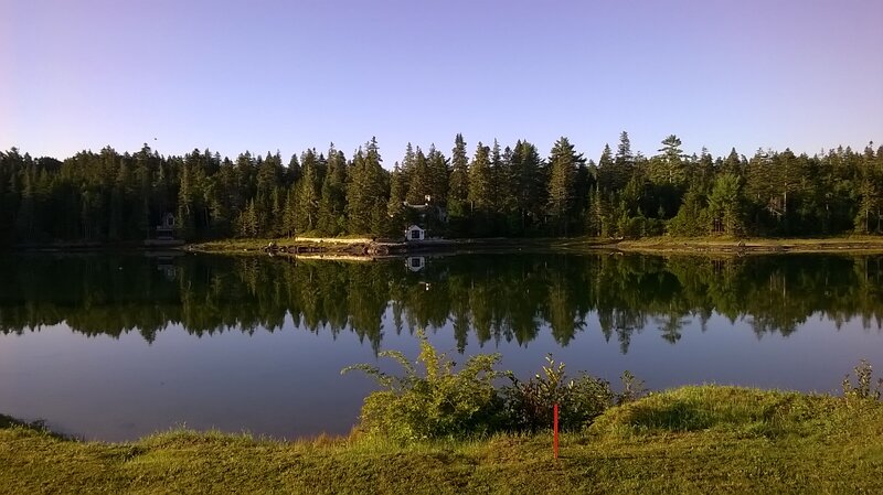 Lake with Forest Reflection — Green, Serene, Sunset, Photograph