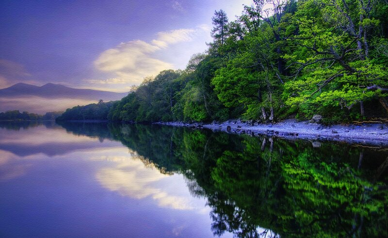 Lake with Forest Reflection — Green, Serene, Sunset