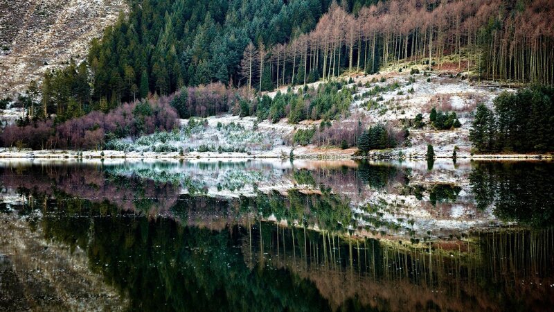 Lake with Forest Reflection — Green, Serene, Winter