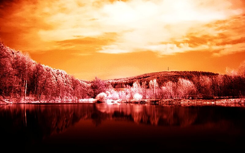 Lake with Forest Reflection — Orange
