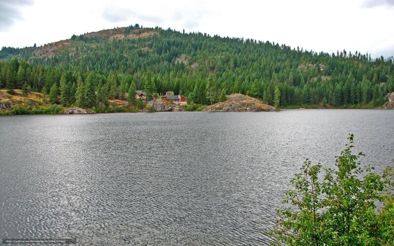 Lake with Forested Hill — Green, Serene